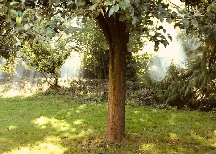 Normandia Parfum De Pommes Et D\'Histoire
