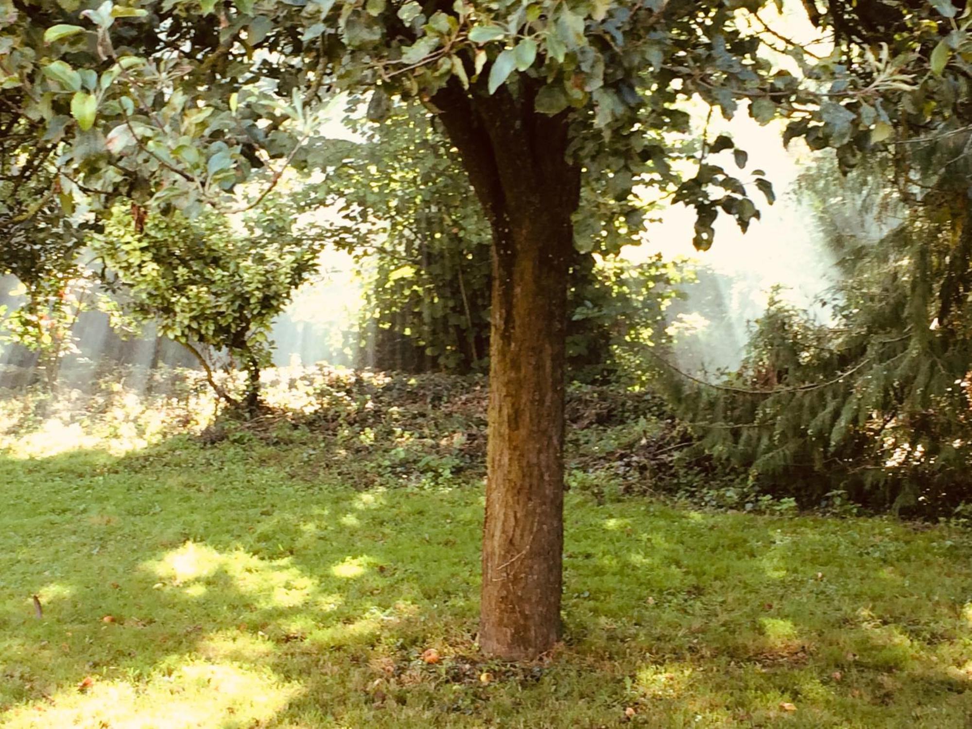 Normandia Parfum De Pommes Et D'histoire *